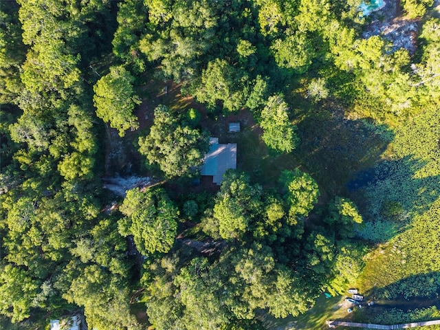54544 Buckhorn Rd, Astor, FL 32102 - aerial view of property and surrounding area