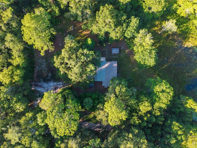 54544 Buckhorn Rd, Astor, FL 32102 - view of property location