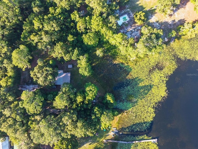 54544 Buckhorn Rd, Astor, FL 32102 - view of property location
