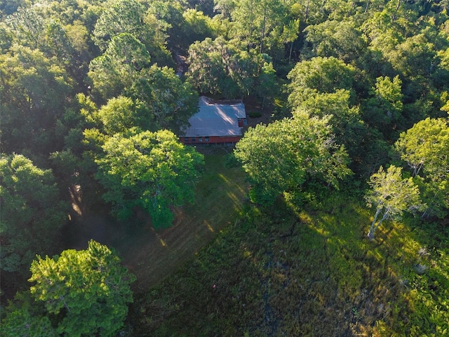 54544 Buckhorn Rd, Astor, FL 32102 - aerial view of property and surrounding area with a forest