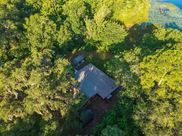 54544 Buckhorn Rd, Astor, FL 32102 - view of subject property