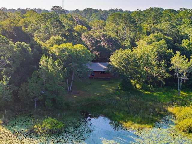 54544 Buckhorn Rd, Astor, FL 32102 - aerial view of property's location with a heavily wooded area
