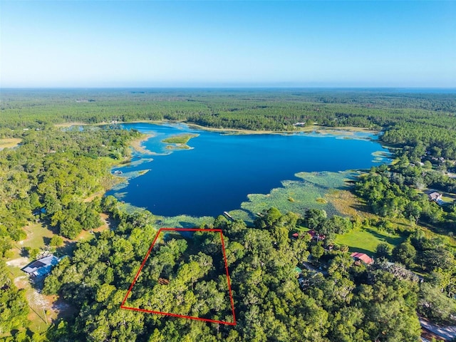 54544 Buckhorn Rd, Astor, FL 32102 - aerial view of property and surrounding area with a large body of water and property boundaries highlighted