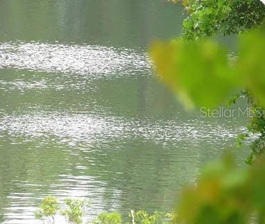 TBD SE 168th Ave, Ocklawaha, FL 32179 - photo 1