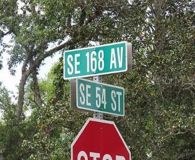 TBD SE 168th Ave, Ocklawaha, FL 32179 - photo 3
