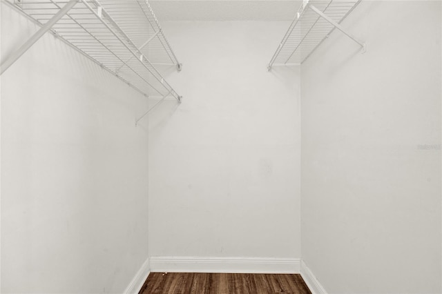 2815 Spyglass Cv, Longwood, FL 32779 - spacious closet featuring dark wood finished floors