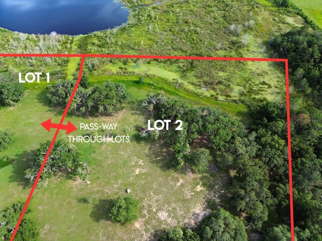 0LOT2 Catbrier Ln, Umatilla, FL 32784 - photo 2