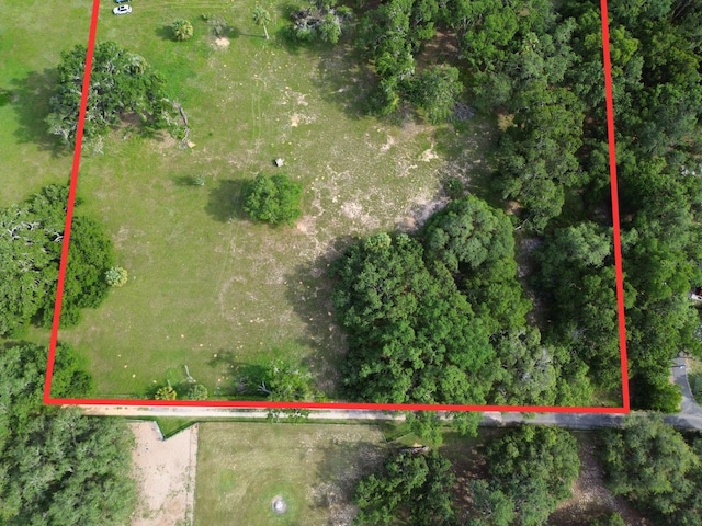 0LOT2 Catbrier Ln, Umatilla, FL 32784 - photo 6