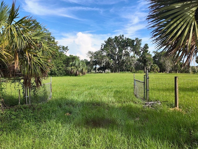 0LOT2 Catbrier Ln, Umatilla, FL 32784 - photo 12