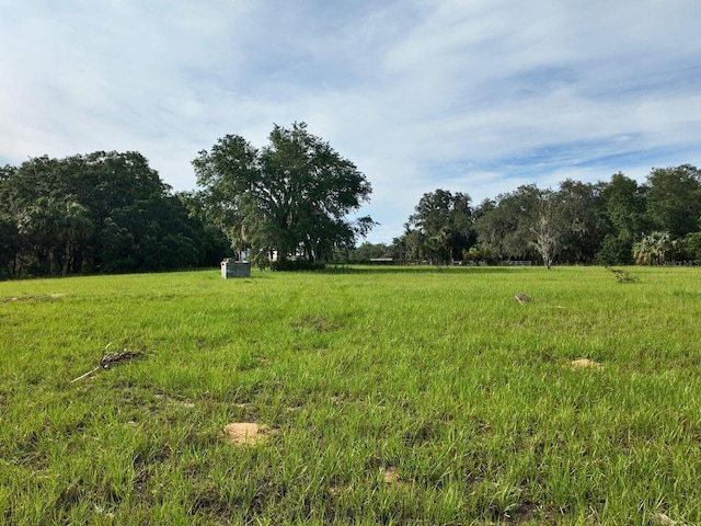 0LOT2 Catbrier Ln, Umatilla, FL 32784 - photo 13