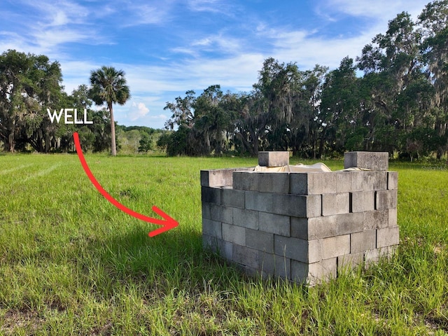 0LOT2 Catbrier Ln, Umatilla, FL 32784 - photo 14
