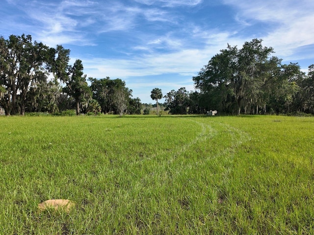 0LOT2 Catbrier Ln, Umatilla, FL 32784 - photo 16