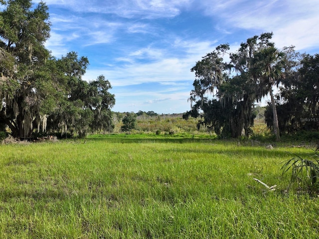 0LOT2 Catbrier Ln, Umatilla, FL 32784 - photo 17