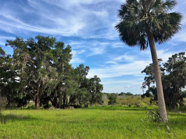 0LOT2 Catbrier Ln, Umatilla, FL 32784 - photo 18