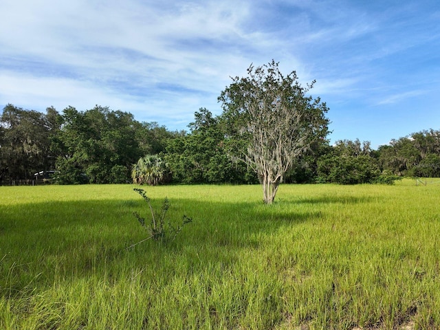 0LOT2 Catbrier Ln, Umatilla, FL 32784 - photo 19