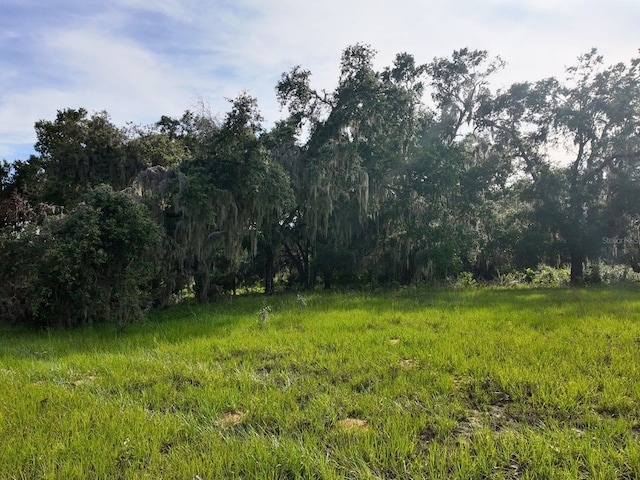 0LOT2 Catbrier Ln, Umatilla, FL 32784 - photo 20