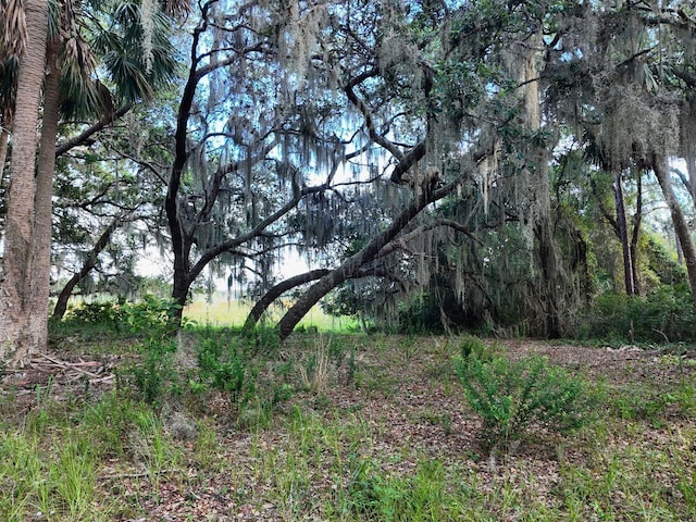 0LOT2 Catbrier Ln, Umatilla, FL 32784 - photo 21