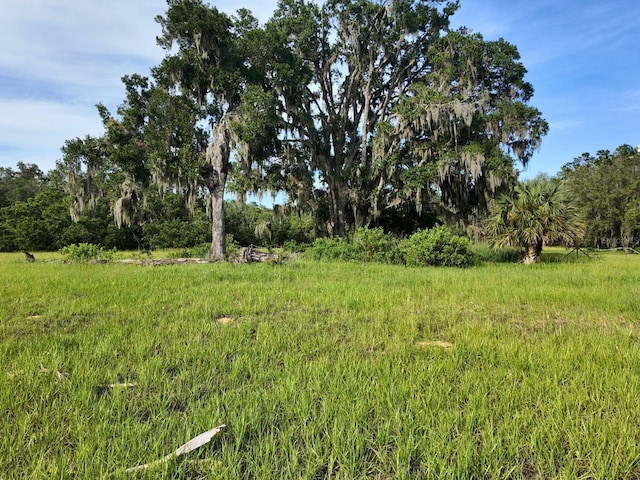 0LOT2 Catbrier Ln, Umatilla, FL 32784 - photo 22
