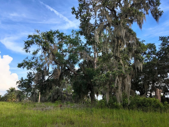 0LOT2 Catbrier Ln, Umatilla, FL 32784 - photo 23