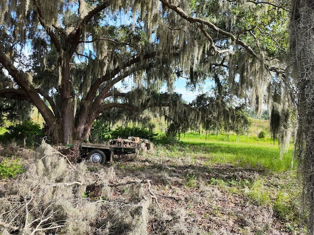 0LOT2 Catbrier Ln, Umatilla, FL 32784 - photo 24