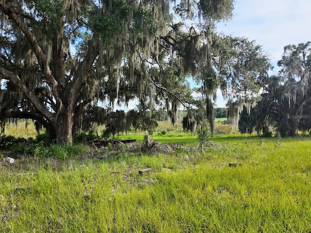 0LOT2 Catbrier Ln, Umatilla, FL 32784 - photo 25