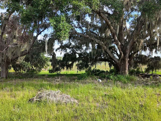 0LOT2 Catbrier Ln, Umatilla, FL 32784 - photo 26