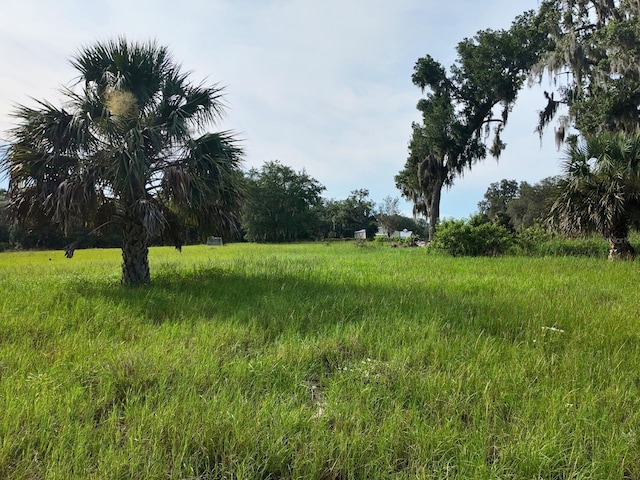 0LOT2 Catbrier Ln, Umatilla, FL 32784 - photo 30