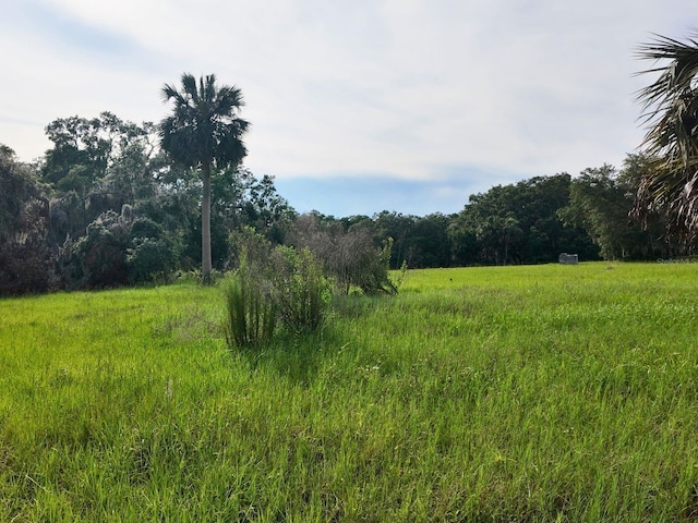 0LOT2 Catbrier Ln, Umatilla, FL 32784 - photo 31