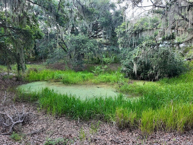 0LOT2 Catbrier Ln, Umatilla, FL 32784 - photo 32