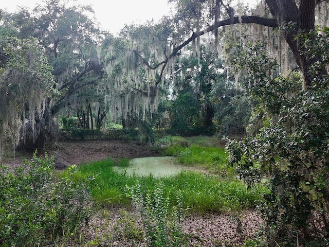 0LOT2 Catbrier Ln, Umatilla, FL 32784 - photo 33