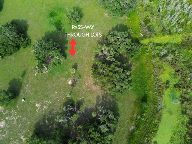 0LOT2 Catbrier Ln, Umatilla, FL 32784 - photo 35