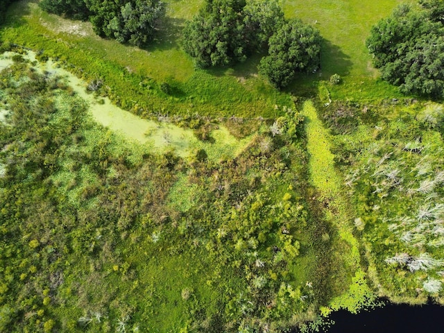 0LOT2 Catbrier Ln, Umatilla, FL 32784 - photo 36