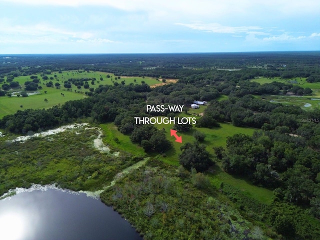 0LOT2 Catbrier Ln, Umatilla, FL 32784 - photo 37