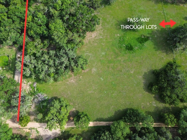 0LOT2 Catbrier Ln, Umatilla, FL 32784 - photo 38