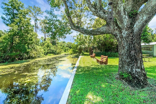 5319 Eagles Nest Rd, Fruitland Park, FL 34731 - water view