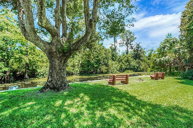 5319 Eagles Nest Rd, Fruitland Park, FL 34731 - view of green lawn featuring a water view