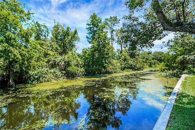 5319 Eagles Nest Rd, Fruitland Park, FL 34731 - water view