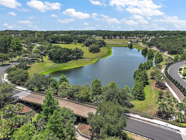 20945 Oldenburg Loop, Mount Dora, FL 32757 - aerial view of a large body of water and a tree filled landscape
