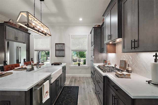 622 W 11th Ave, Mount Dora, FL 32757 - kitchen featuring stainless steel appliances, crown molding, healthy amount of natural light, backsplash, and light wood-style flooring