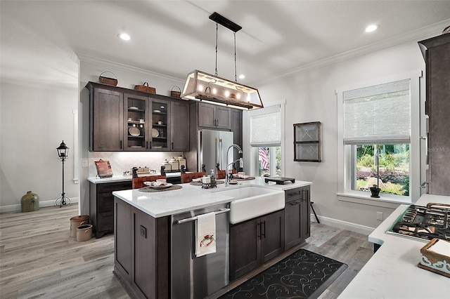 622 W 11th Ave, Mount Dora, FL 32757 - kitchen with appliances with stainless steel finishes, dark brown cabinetry, light countertops, crown molding, and light wood-style floors