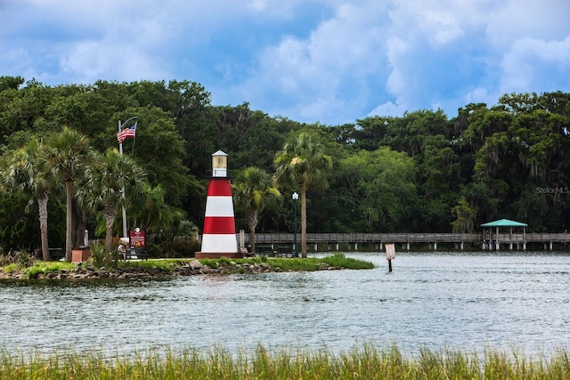 622 W 11th Ave, Mount Dora, FL 32757 - view of home's community with a water view and a wooded view