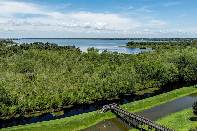 1131 Dora Parc Ln, Mount Dora, FL 32757 - photo 4