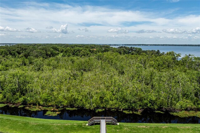 1131 Dora Parc Ln, Mount Dora, FL 32757 - photo 49
