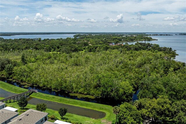 1131 Dora Parc Ln, Mount Dora, FL 32757 - photo 51