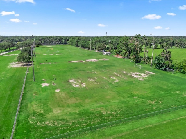 10201 SE 69th Ave, Belleview, FL 34420 - photo 21