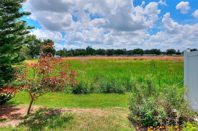 6906 Glenbrook Dr, Lakeland, FL 33811 - view of yard