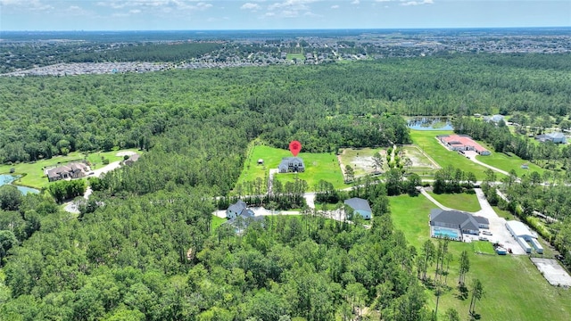 1702 Hidden Palms Dr, Davenport, FL 33897 - aerial view of property and surrounding area featuring a forest and a large body of water