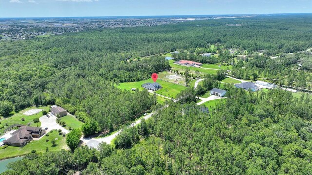 1702 Hidden Palms Dr, Davenport, FL 33897 - aerial view of property's location with a forest