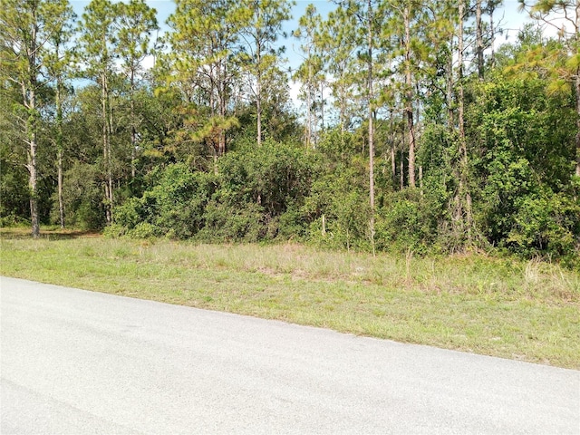 6415 Norman St, Webster, FL 33597