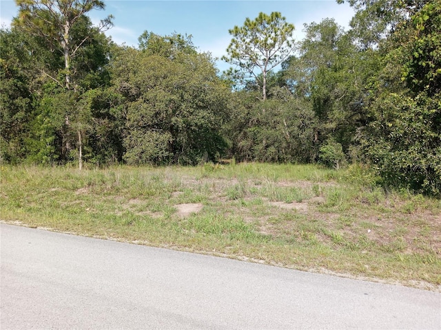 6415 Norman St, Webster, FL 33597